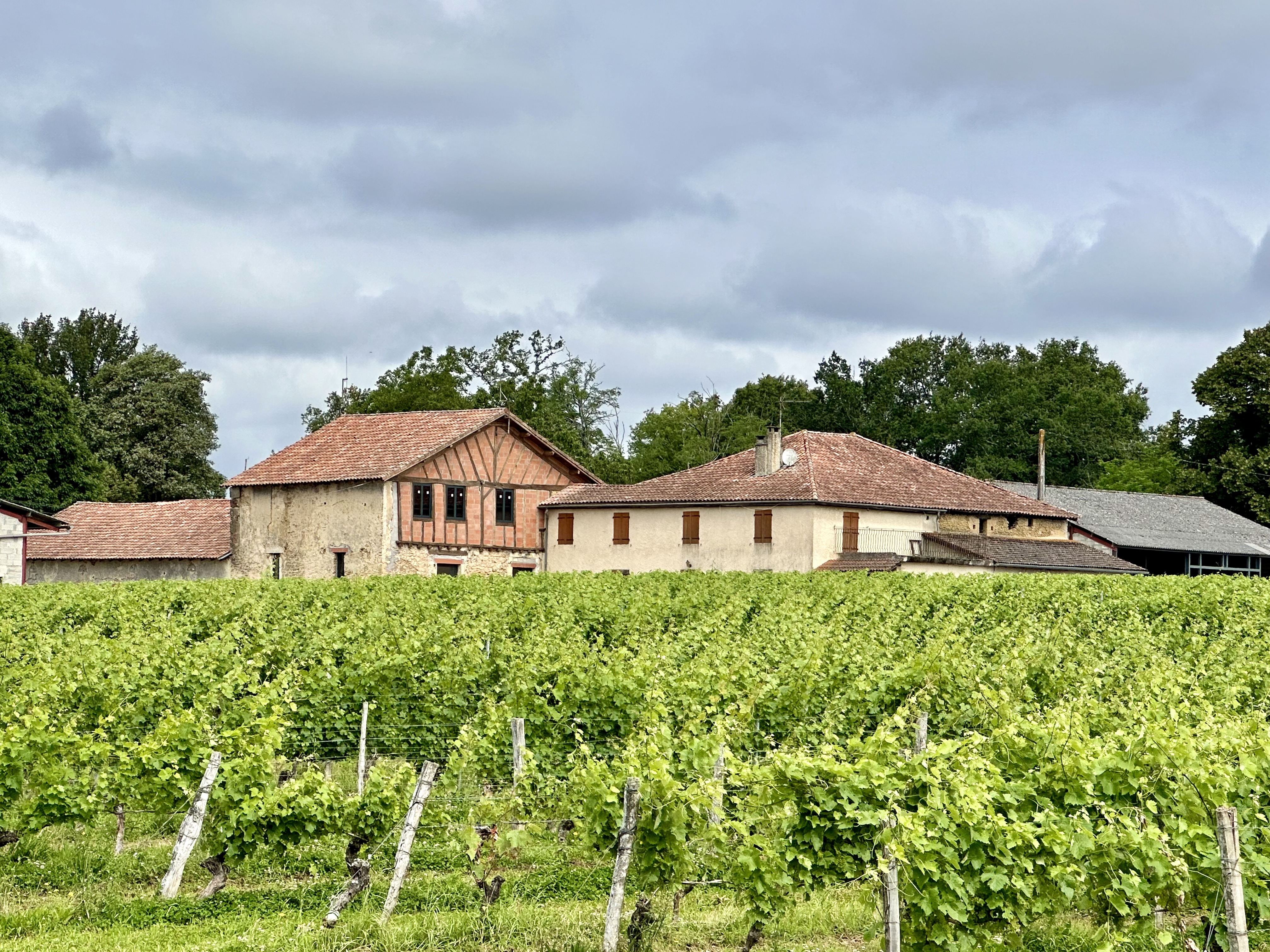 DOMAINE AUGERON