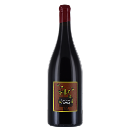 Tranche de gamay 2022 Rouge Magnum