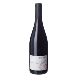 Demi Boeuf Pinot Noir 2024 Rouge