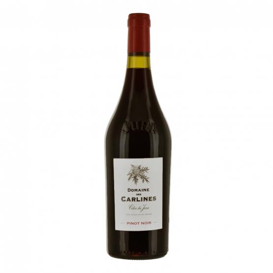 Pinot Noir 2023 Rouge FR 5 Route du Penin DOMAINE AUGERON