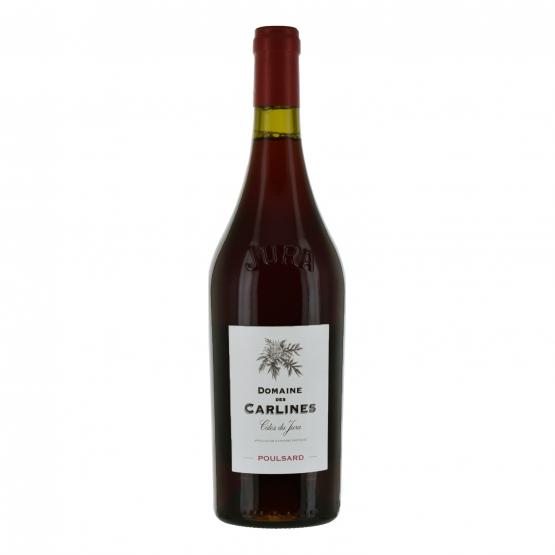 Poulsard 2023 Rouge FR 5 Route du Penin DOMAINE AUGERON