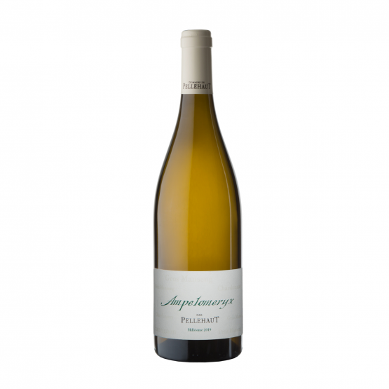 Ampélomeryx Blanc 2022 FR 5 Route du Penin DOMAINE AUGERON