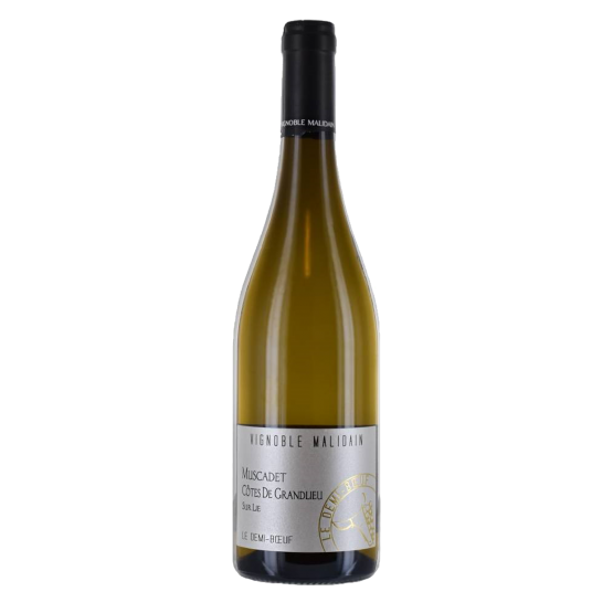 Le Demi-Boeuf Muscadet 2023 Blanc FR 5 Route du Penin DOMAINE AUGERON