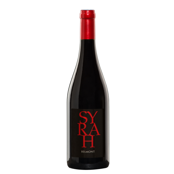 Syrah 2021 Rouge FR 5 Route du Penin DOMAINE AUGERON