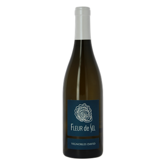 Fleur de Sel Blanc 2023 Magnum FR 5 Route du Penin DOMAINE AUGERON