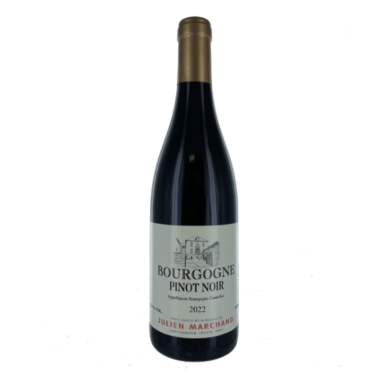 Bourgogne Pinot Noir 2022 Rouge FR 5 Route du Penin DOMAINE AUGERON