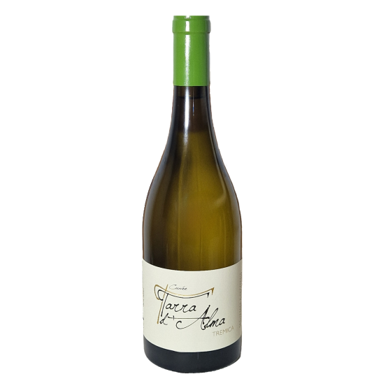 Tarra d'Alma Blanc 2025 FR 5 Route du Penin DOMAINE AUGERON