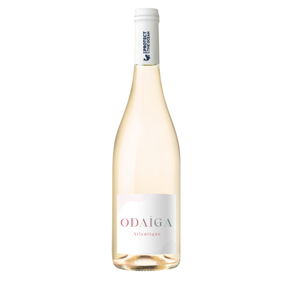 Odaïga Blanc 2024 FR 5 Route du Penin DOMAINE AUGERON