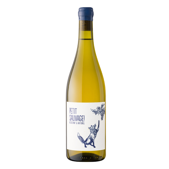 Petit Sauvage 2025 Blanc FR 5 Route du Penin DOMAINE AUGERON