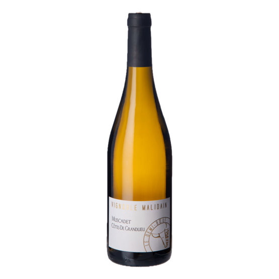 Le Demi-Boeuf Muscadet 2024 Blanc FR 5 Route du Penin DOMAINE AUGERON